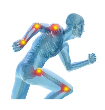 L'action Artrovex vise à renforcer et à améliorer la mobilité des articulations